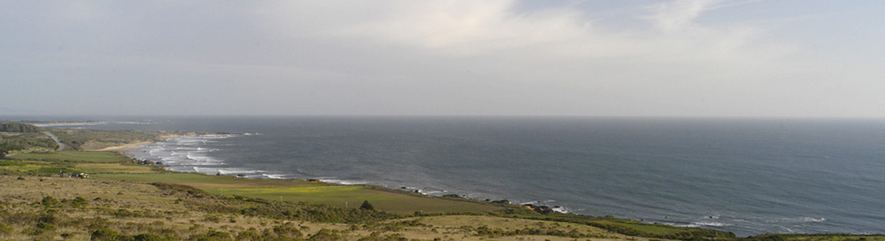 A view of the Pacific Ocean from Wilbur's Watch.