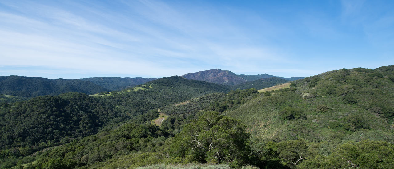 Green hillsides in Rancho Cañada del Oro.