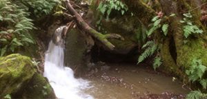 waterfall_hike_post