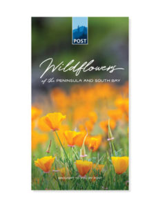 Wildflower guide from POST