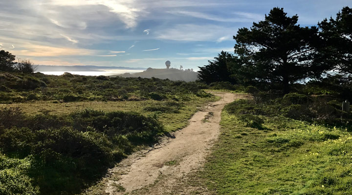 The trail to Pillar Point.
