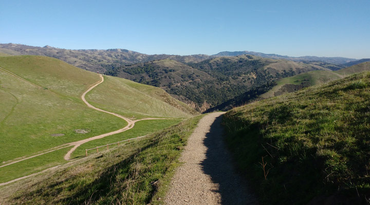 The ravine of the Alum Rock Park watershed.