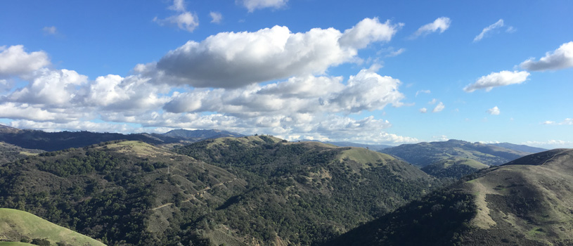 View of Sierra Vista Preserve