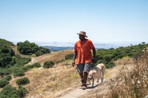 Man walking two dogs on ridge on a sunny day.