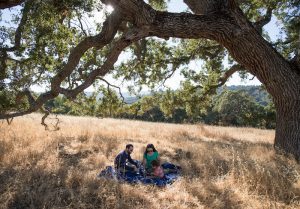 family picnicing under oak tree