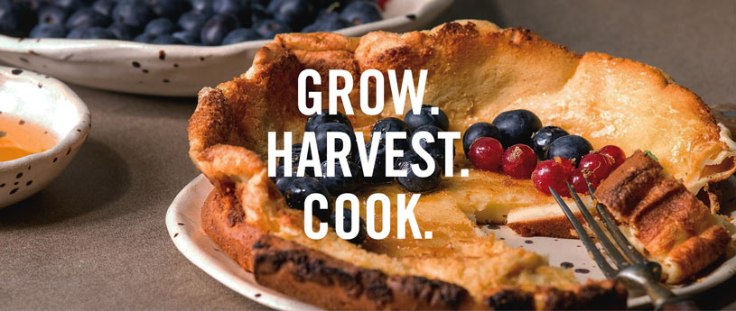 Cover image for Grow. Harvest. Cook Recipe Booklet