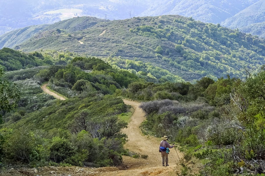 Man hiking on Bay Area Ridge Trail