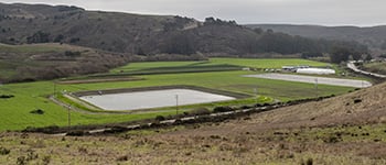 Reservoir at Blue House Farm