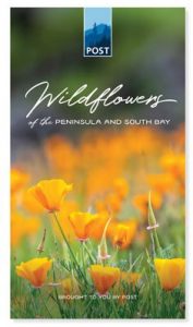 Wildflower guide - POST