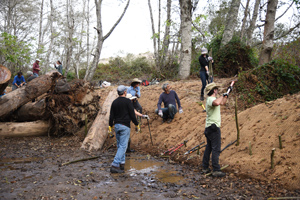 Sediment removal at Butano Creek.