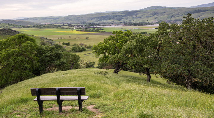 A bench overlooks Coyote Valley Open Space Preserve.