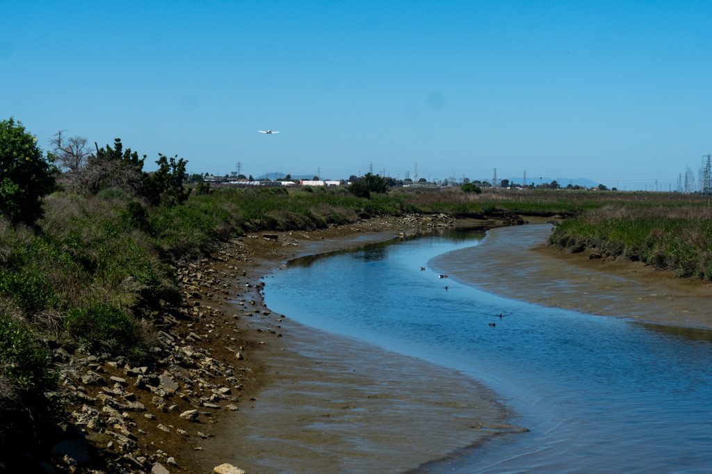 A winding river in the baylands just east of East Palo Alto